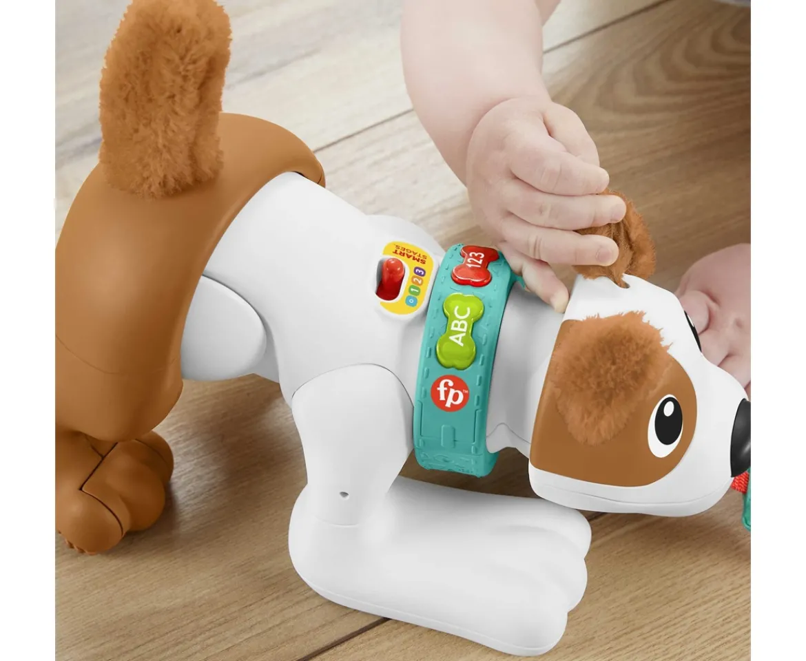 Ken Black 123 Crawl With Me Puppy| Preschool & Electronic Learning