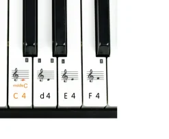 Ken Black 61 key Electronic Keyboard SM 61K| Music & Karaoke