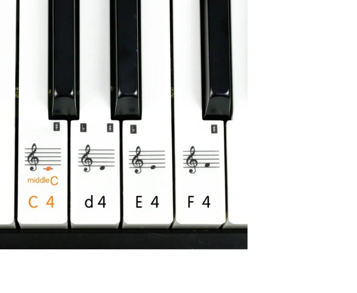 Ken Black 61 key Electronic Keyboard SM 61K| Music & Karaoke