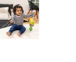 Ken Black Baby Einstein Cal-a-Puller Pull & Shake Toy| Baby Play