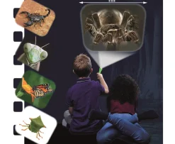 Ken Black Natural History Museum Creepy Crawly Torch  and Projector| Art & Crafts