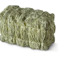 Ken Black schleich Horse Club 42105 Feeding Set| Dolls & Dollhouses