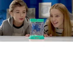 Ken Black Sea Monkeys - Ocean Zoo| Art & Crafts