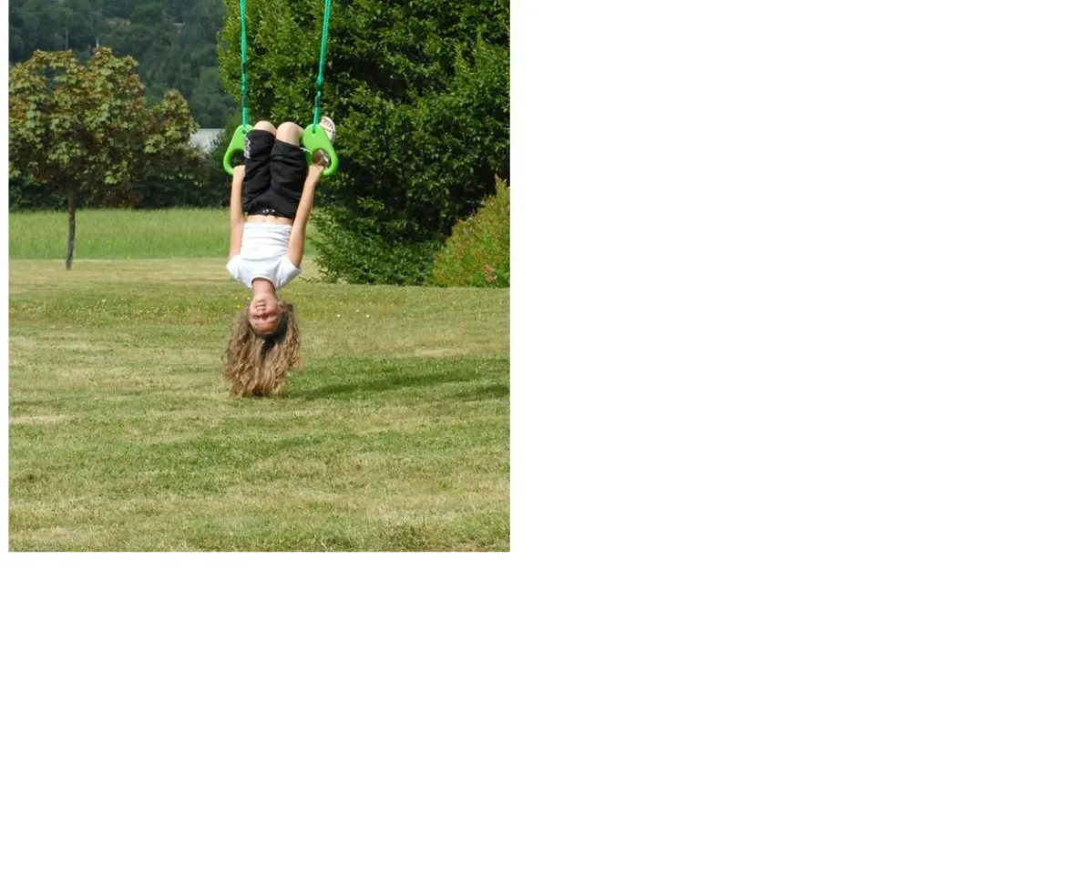 Ken Black Trapeze Ring| Swings & Slides