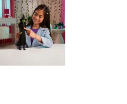 Ken Black Wicked 30cm Singing Elphaba Fashion Doll| Dolls & Dollhouses